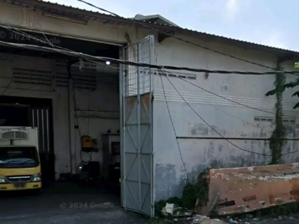 sinar gedangan