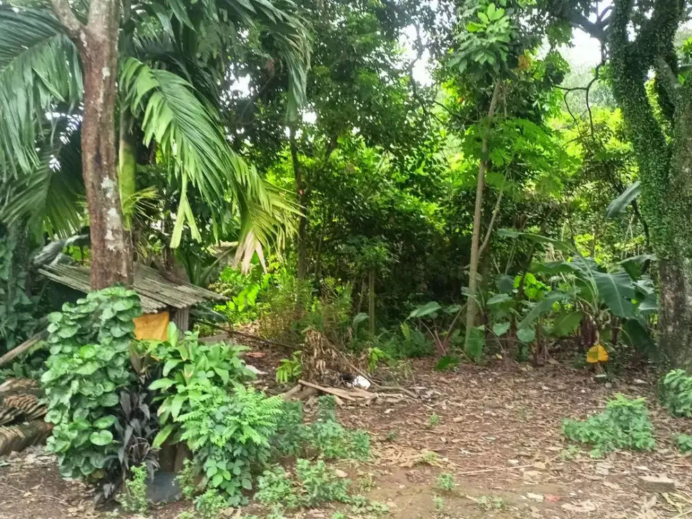 JUAL CEPAT KAVLING CIBINONG 10 MENIT STADION PAKANSARI