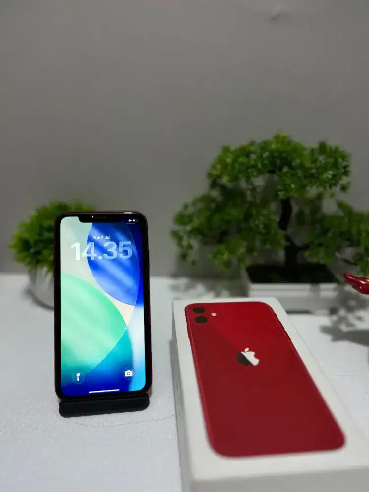 Ip 11 mulus no minus