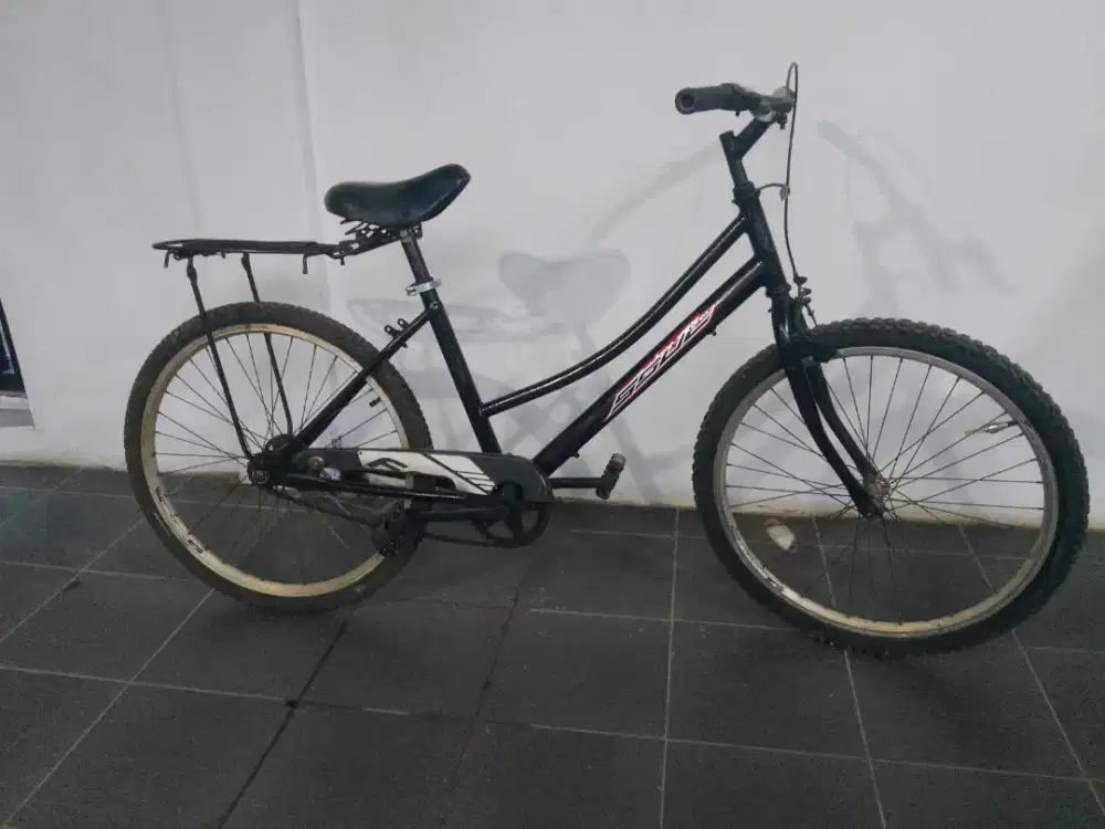 Sepeda Ukuran 24 aleoca