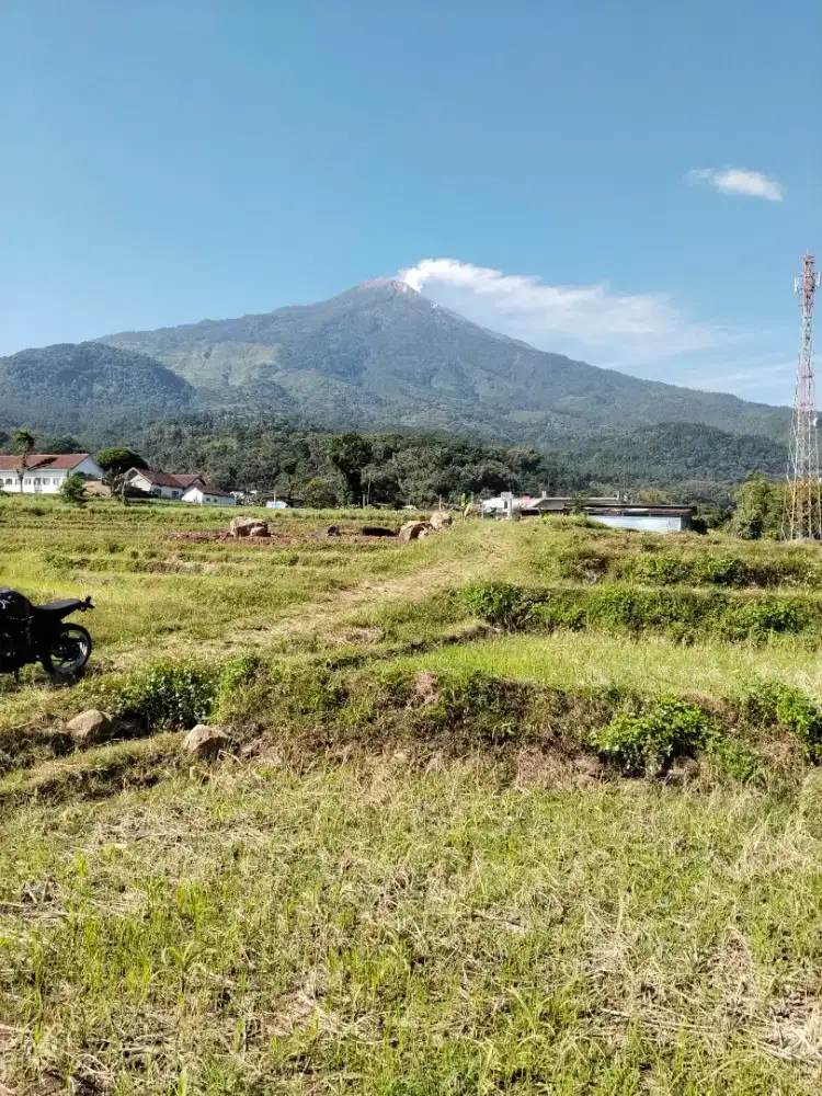 Tanah pacet cenpoko limo dekat jalan raya pacet-trawas