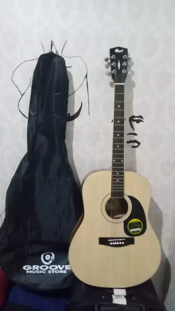 Cort ad 810 op custom
