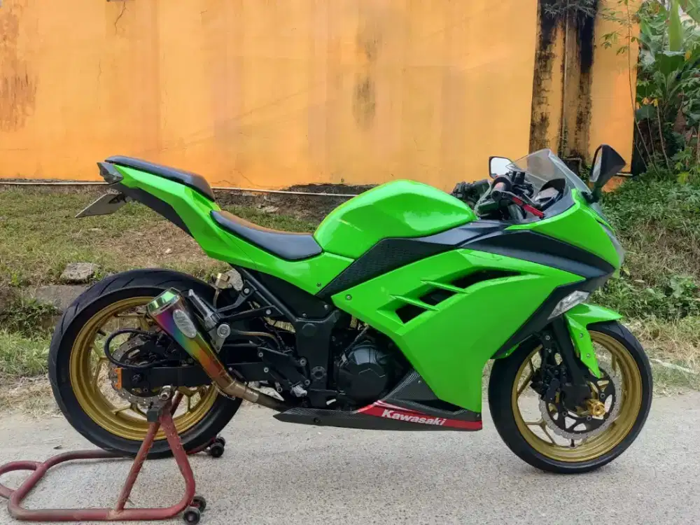 Kawasaki Ninja fi 250R 2016/2017