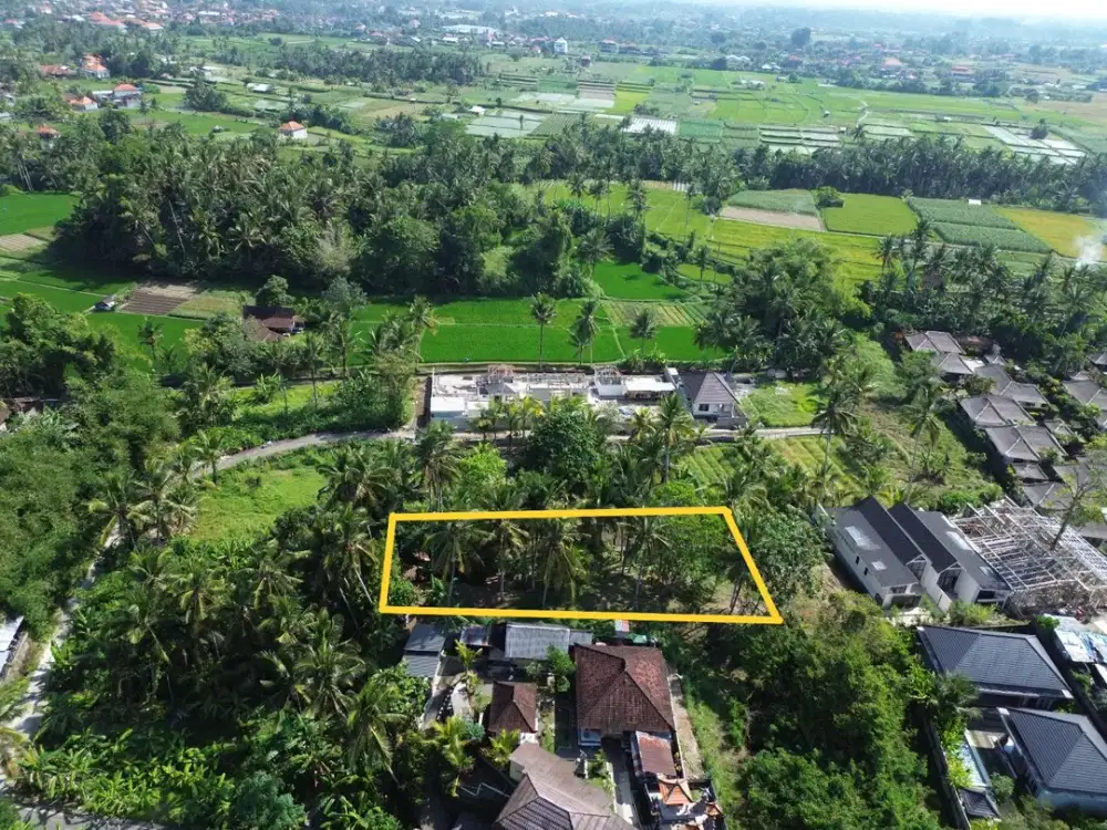 [DIJUAL] Tanah Matang 10,5 Are Zona Campuran di Mambal Badung – Dekat Green School & Ubud