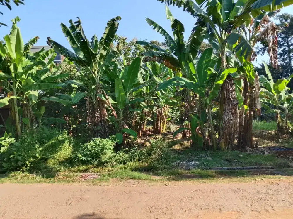 Tanah Kavling murah siap bangun di pinggiran kota jepara