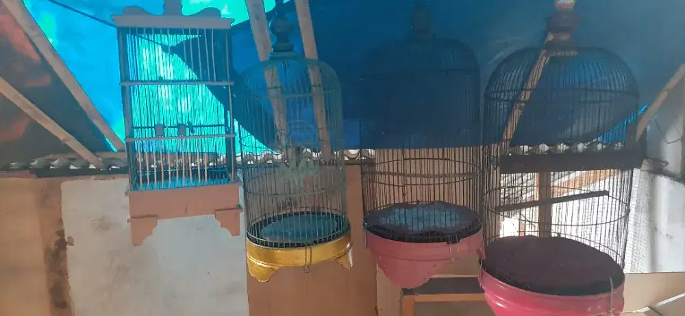 Kandang burung kecil dan agak besar