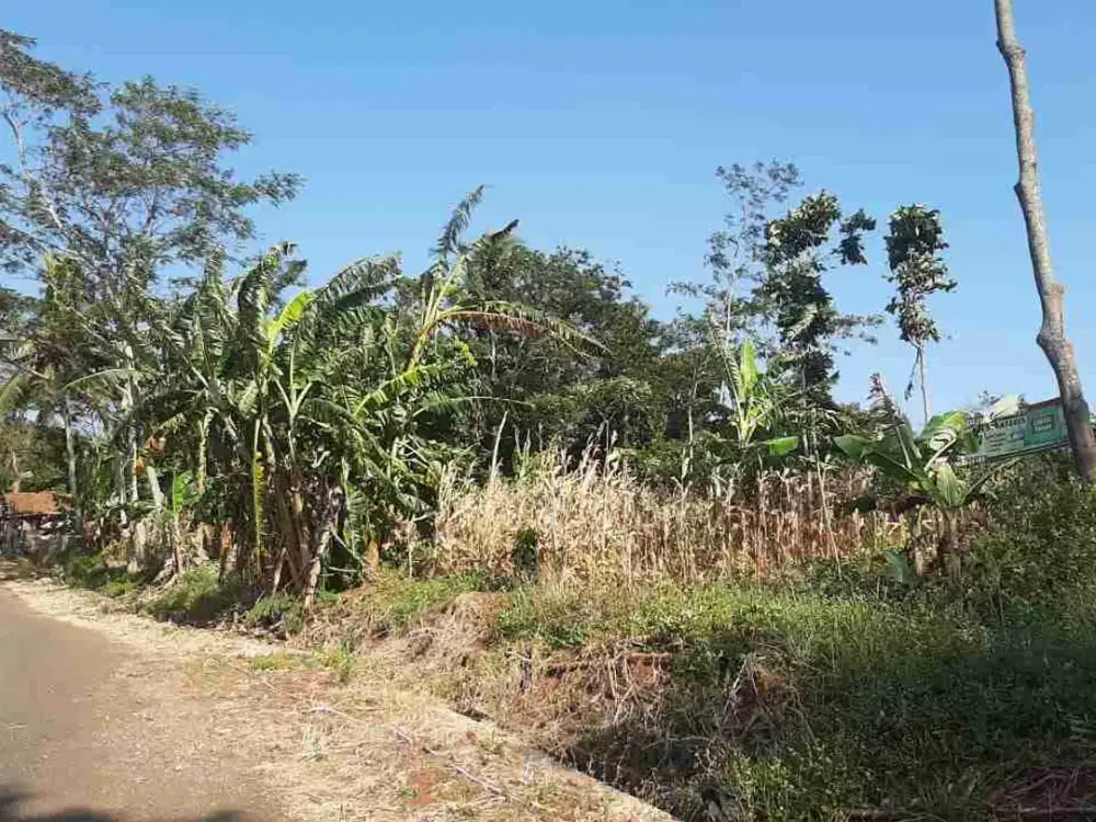 Dijual cepat harga BU tanah Kec.Lemahsugih Kab.Majalengka