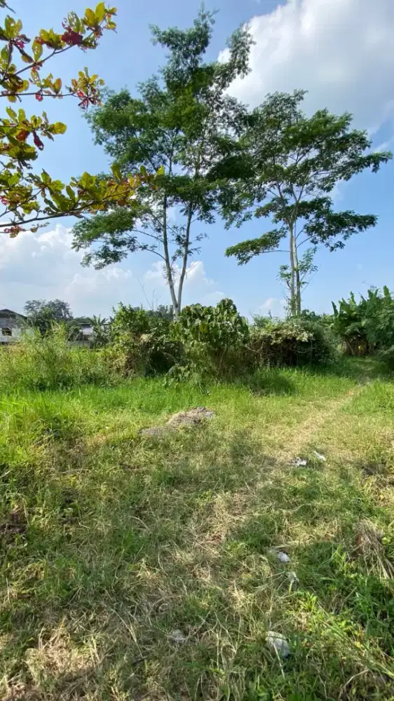 Tanah Pekarangan Kedai Mbak Pesta