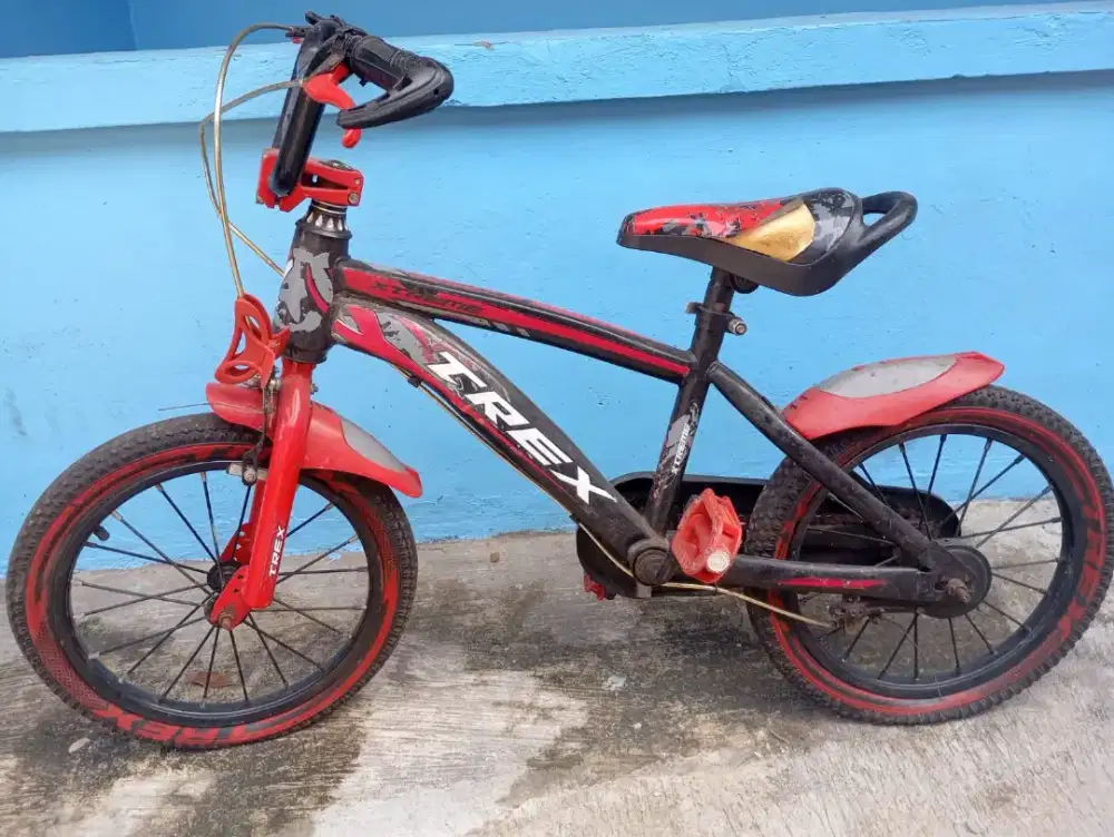 Sepeda anak bekas baru pakai 3 bulan