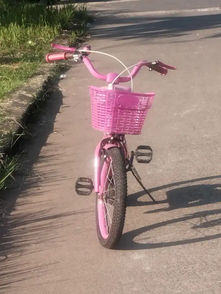 Sepeda anak Rubick uk 18