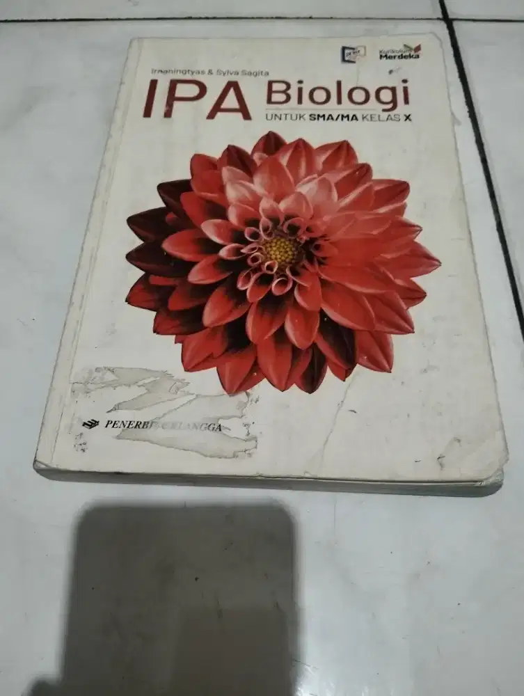 Buku paket SMA/MA kelas x