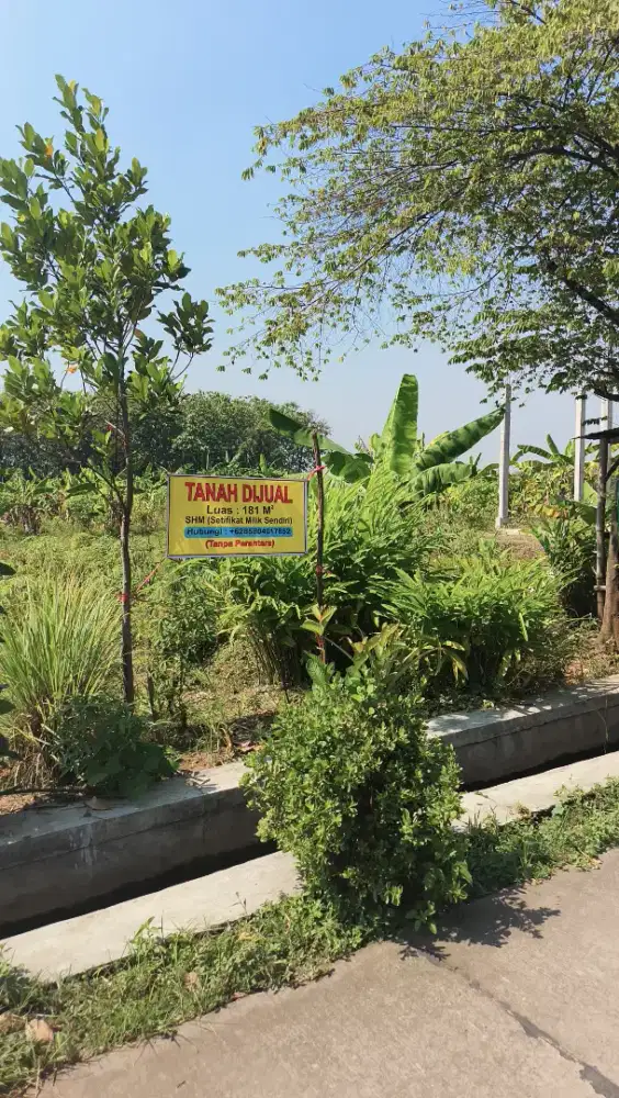 JUAL TANAH MURAH