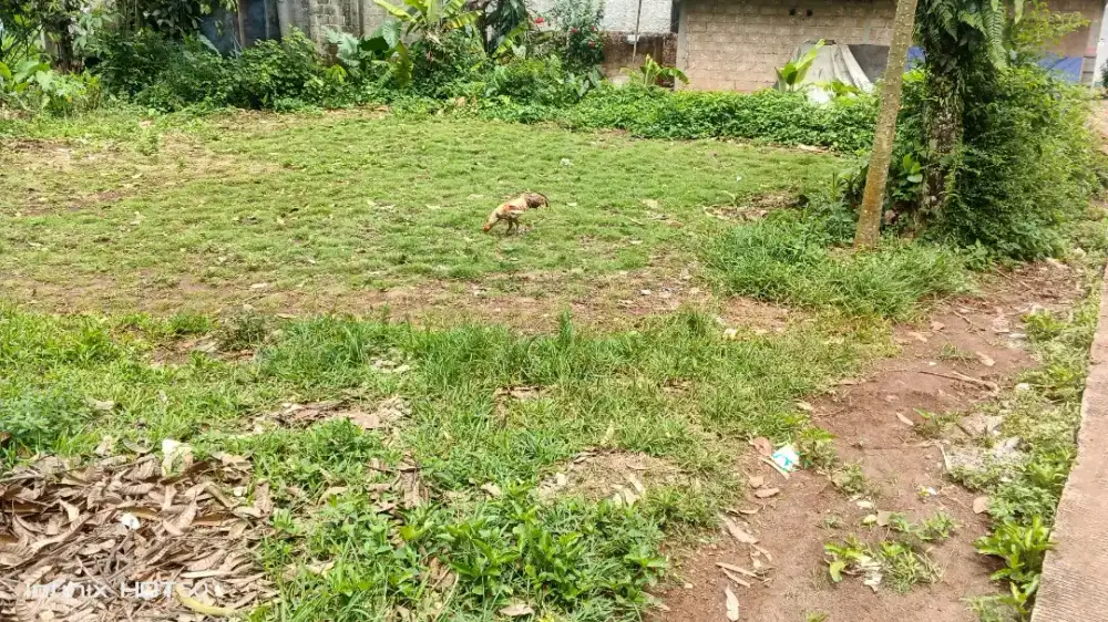 Tanah kosong kebon