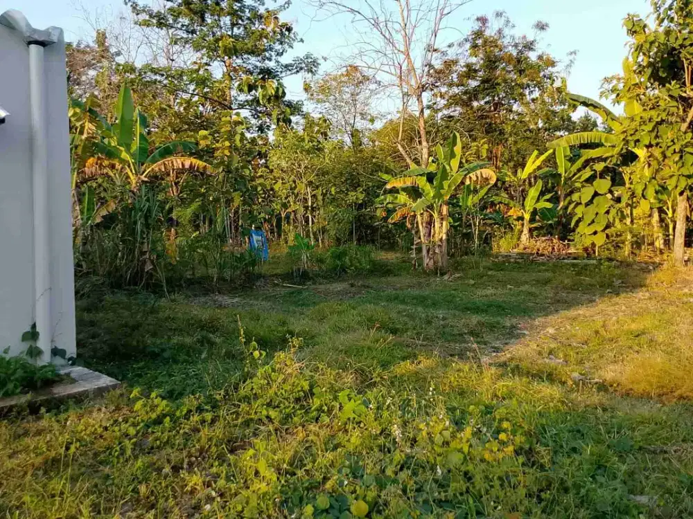 tanah ngawi
