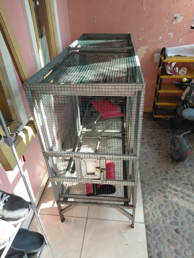 Kandang umbar murai 4m bintaro