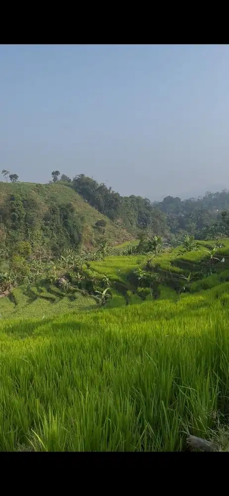 DIBUTUHKAN ART MENGINAP SERIUS