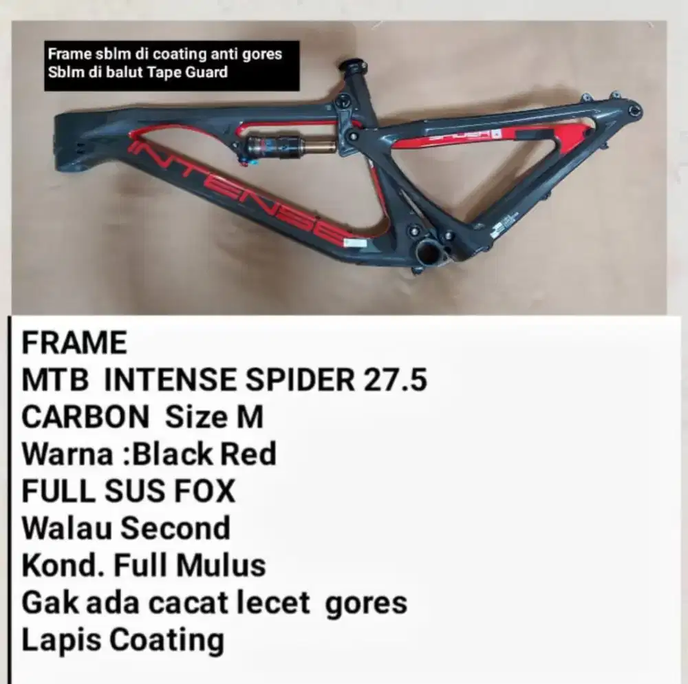 FRAME CARBON Intense Spider