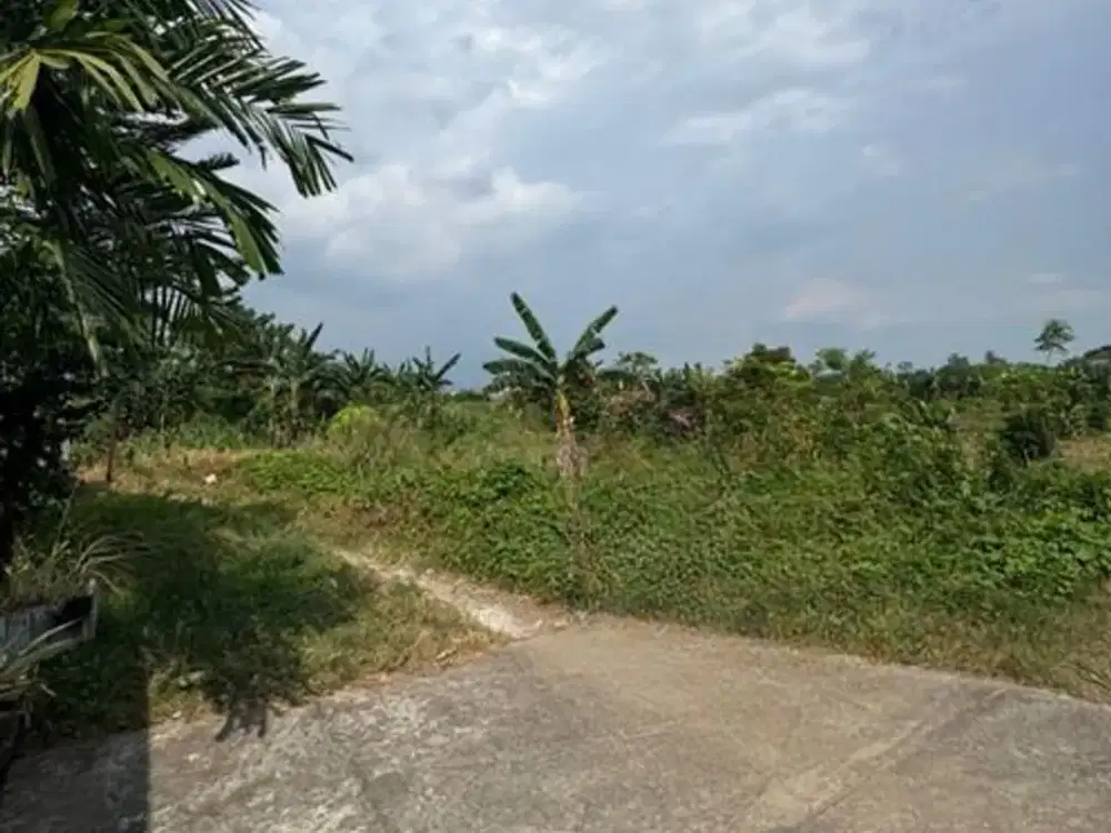 Dijual Tanah Makassar sekitar Jalan Perintis Kemerdekaan