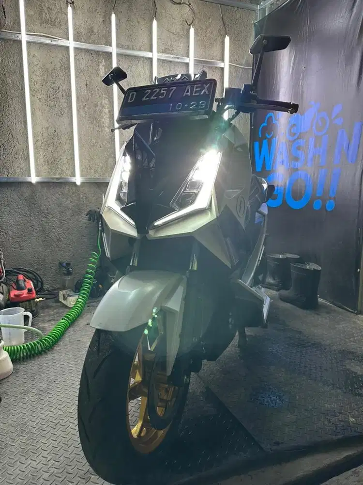 Alva Cervo 2024