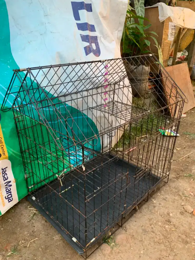 Kandang Kucing Siap Pakai