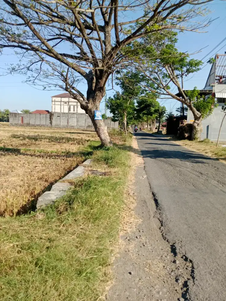 DIJUAL SAWAH PINGGIR JALAN.