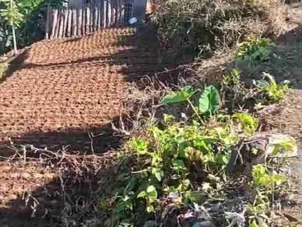 Tanah siap Bangun Murah
