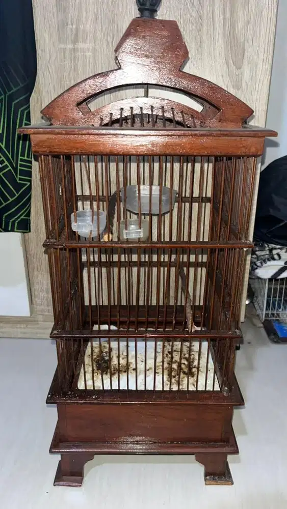 kandang burung bekas dapat 2