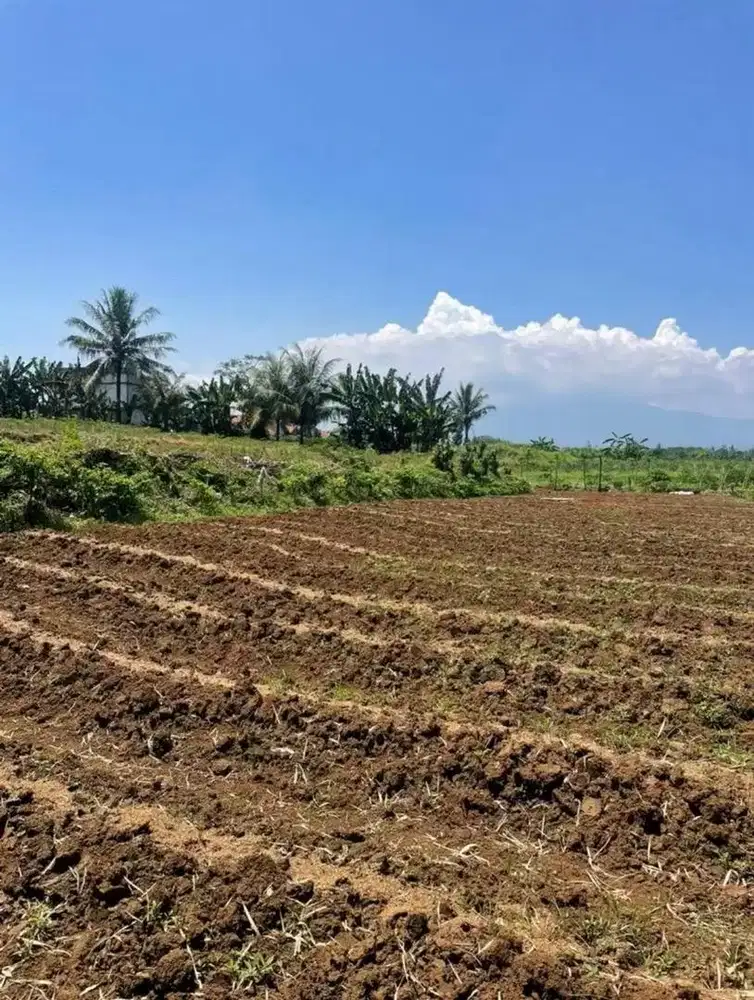 DIJUAL CEPAT BU Tanah 726m di Bogor