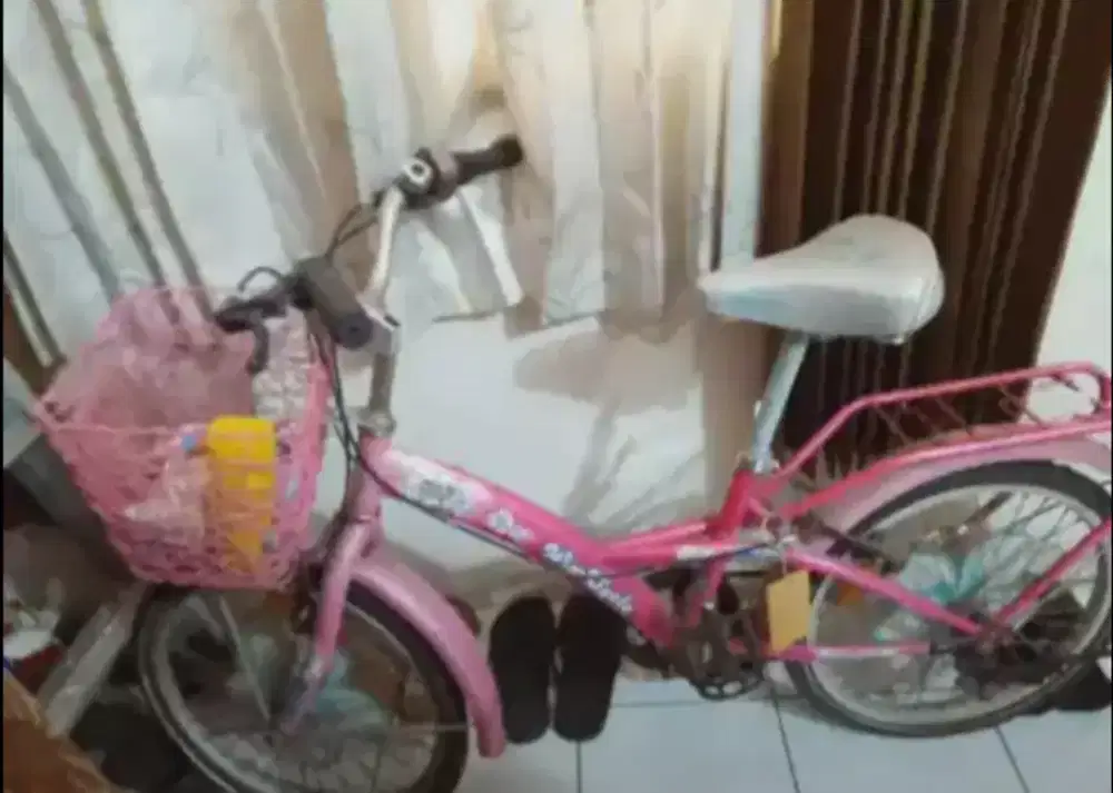 Sepeda Anak remaja wim cycle