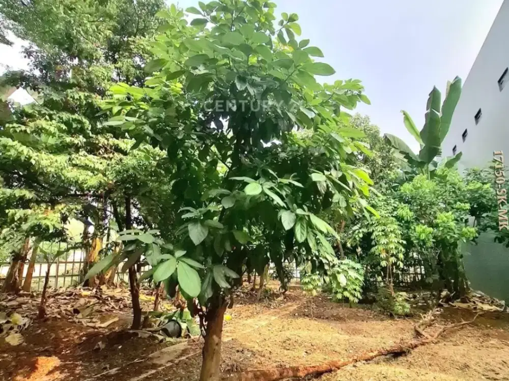 Dijual Kavling Datar Siap Bangun Dalam Komplek Sektor 9 Bintaro