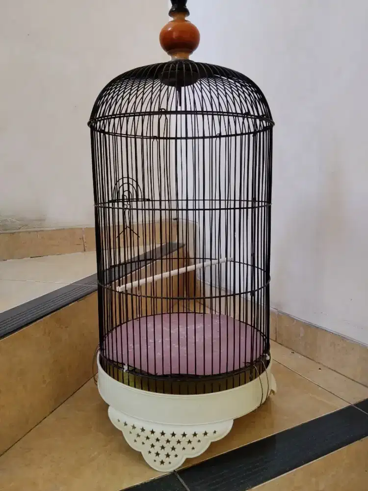 Kandang Lovebird layak pakai