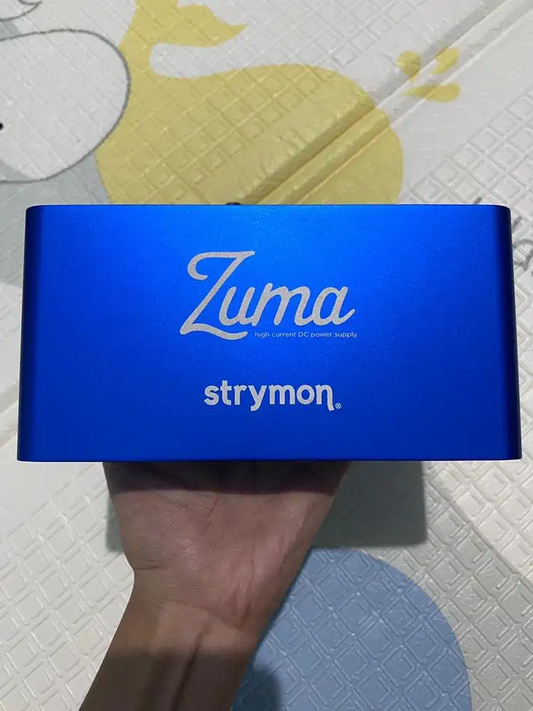 Strymon Zuma Power Supply