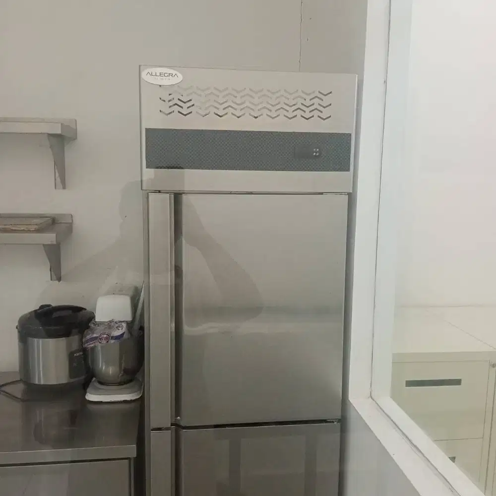 Upright Chiller 2 doors Allegra