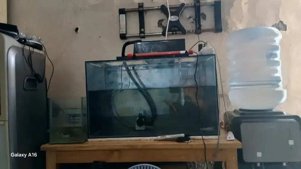 Aquarium 60×35×30 sama ikan