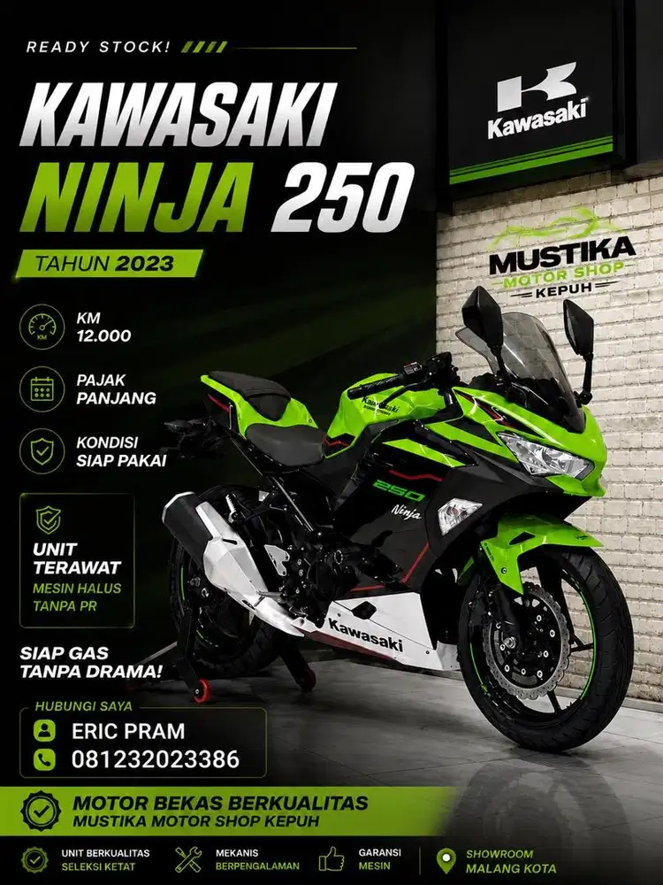 Kawasaki Ninja 250 ABS kyleess 2023 low km