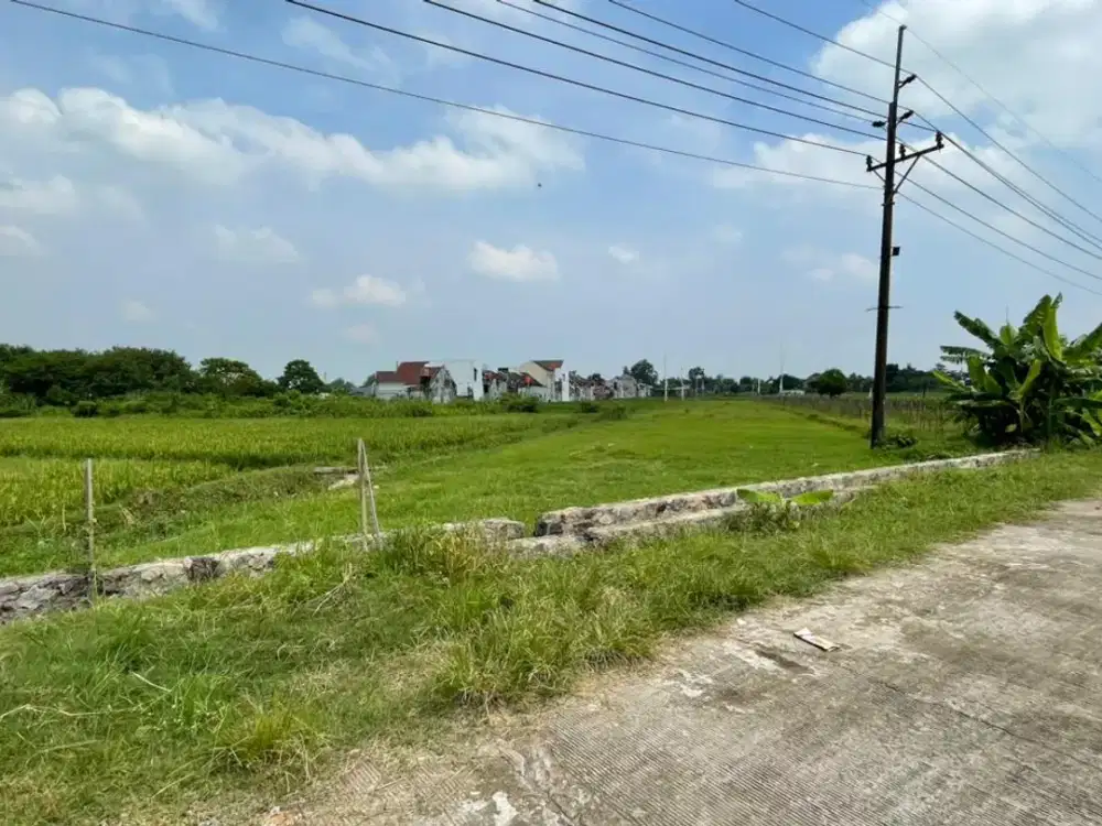 Cocok Investasi! Tanah Godean Area Berkembang, Bisa Cicilan Tanpa Bunga