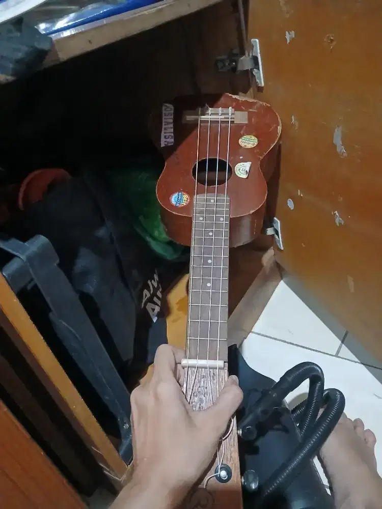 Gitar kentrung atau gitar kcil