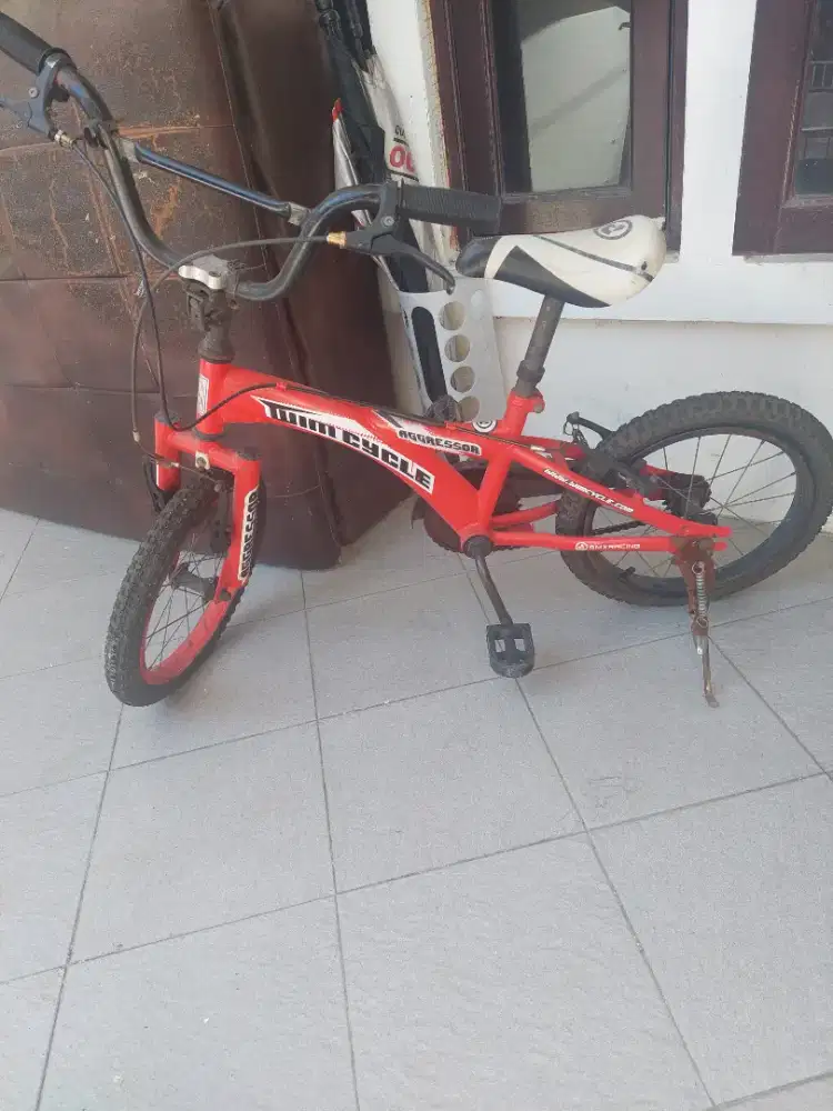 Sepeda anak wimcycle