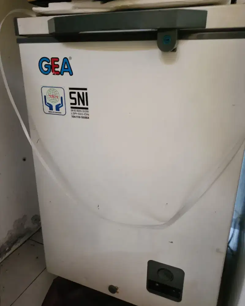 Freezer GEA 100L