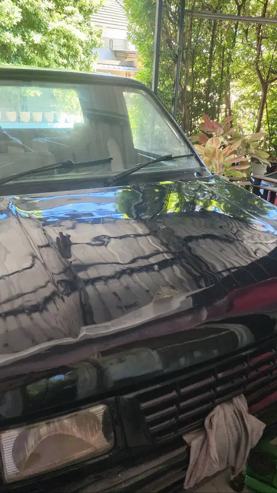Panther pickup turbo 2014