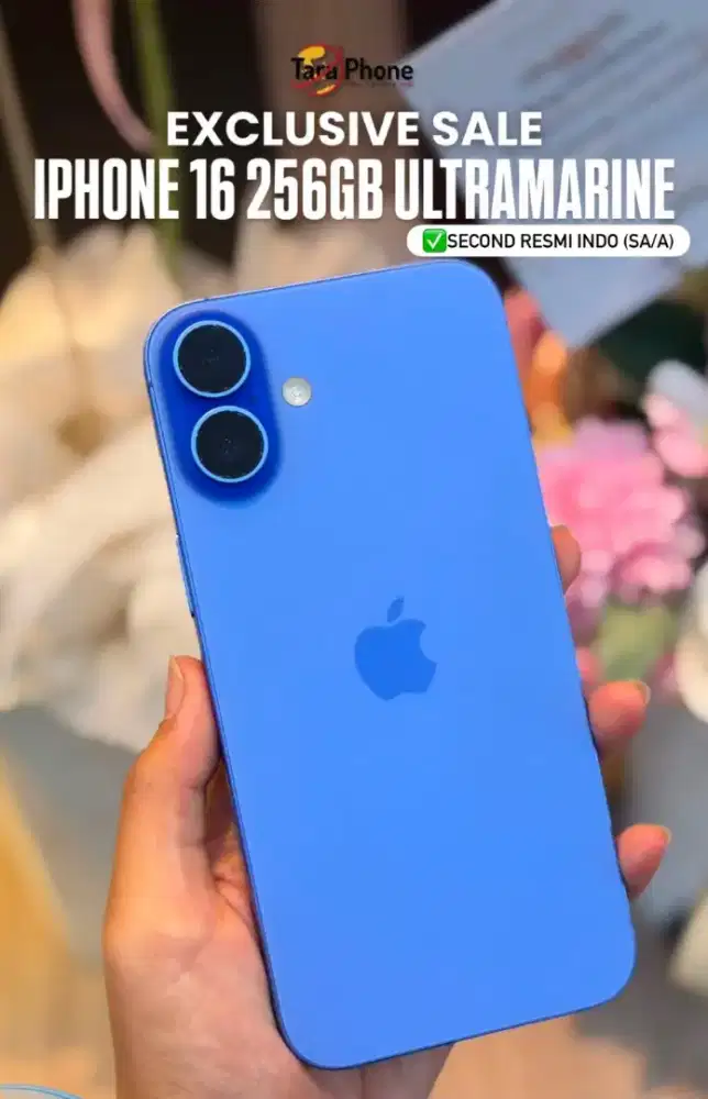 ip 16 256 Ultramarine, Second