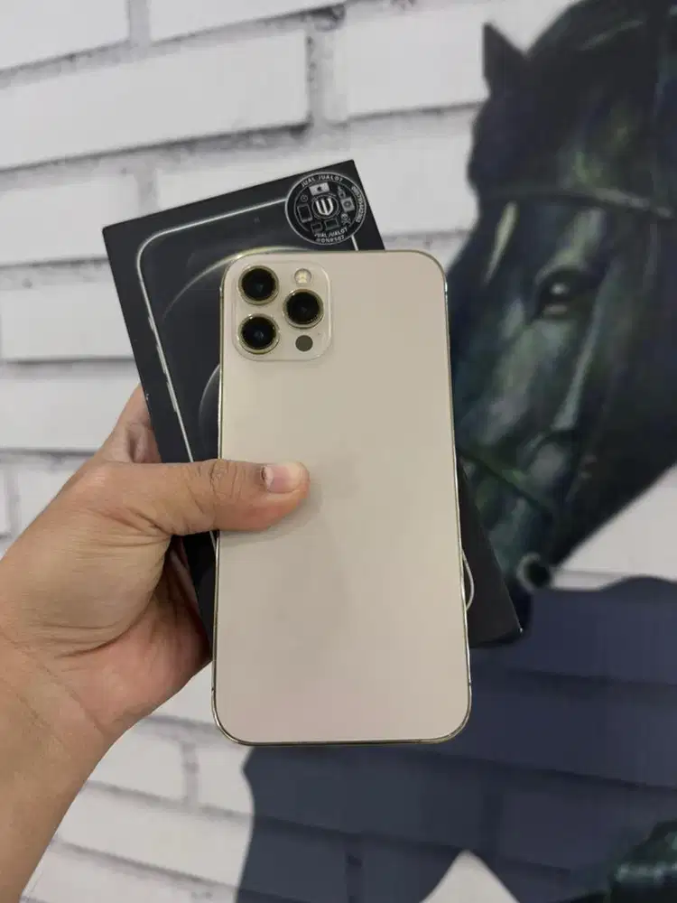 Iphone 12 Promax 128 Fullset