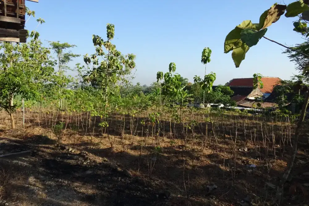 Dijual tanah strategis di Jalan Caruban-Gemarang, Mejayan, Madiun