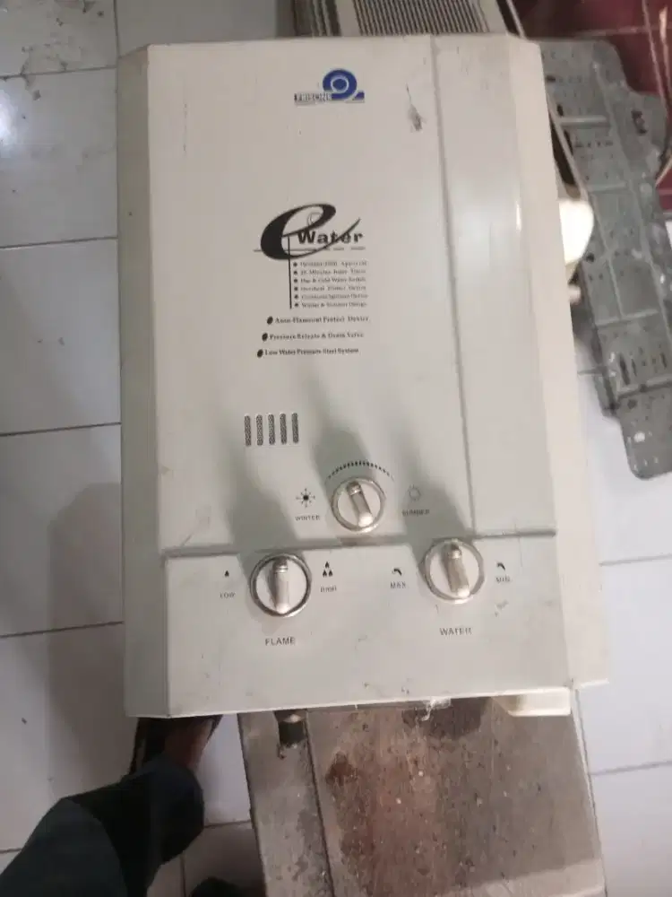 Water heater Frisone