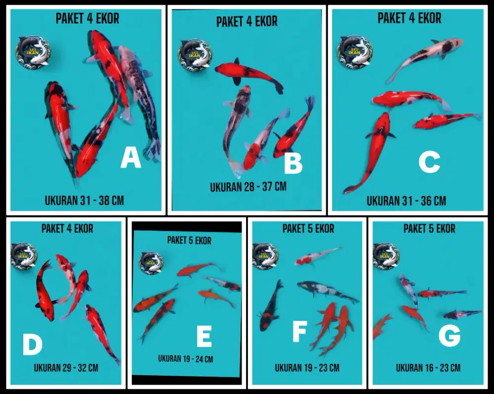 Jual paket ikan