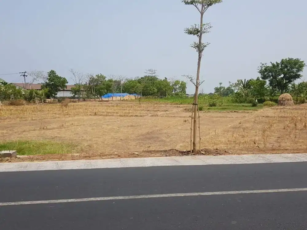 Tanah Tongas - Probolinggo Dijual Cepat, Kawasan Industri, Lokasi Strategis