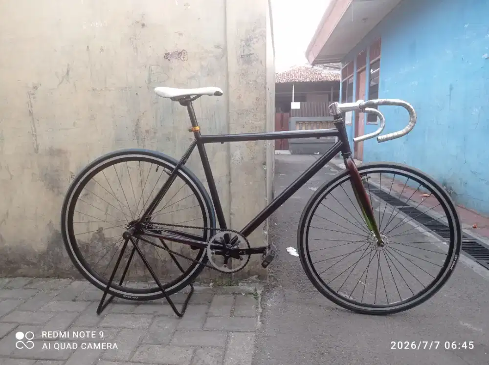 Fixie . Coaster hub /Bike. / Torpedo