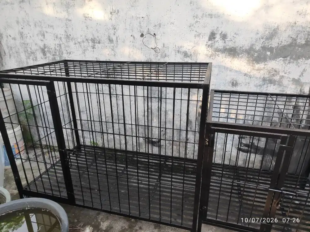 Kandang Anjing Baru