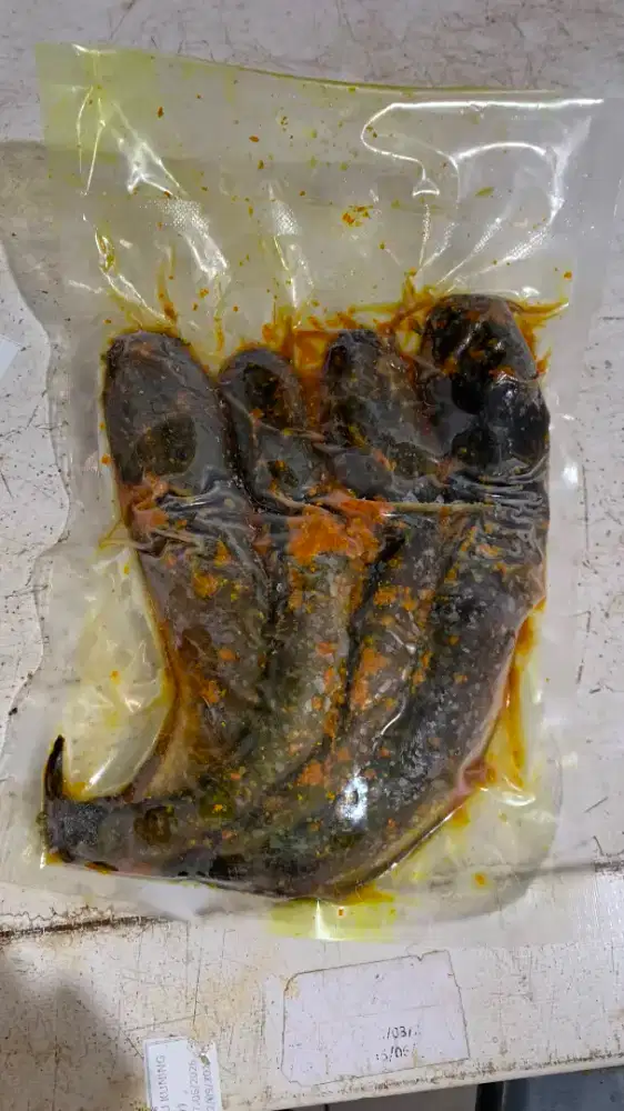 Ikan Lele Bumbu Kuning