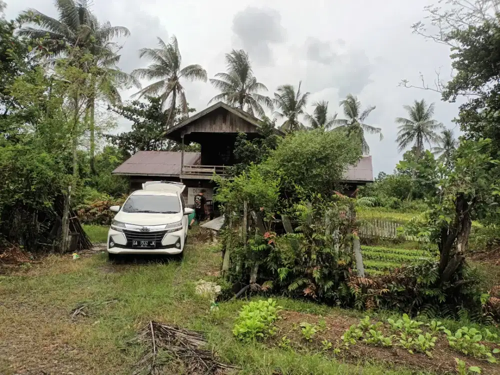 Dijual Tanah Kolam, Rumah dan Sawah/Kebun, 4 Hektar